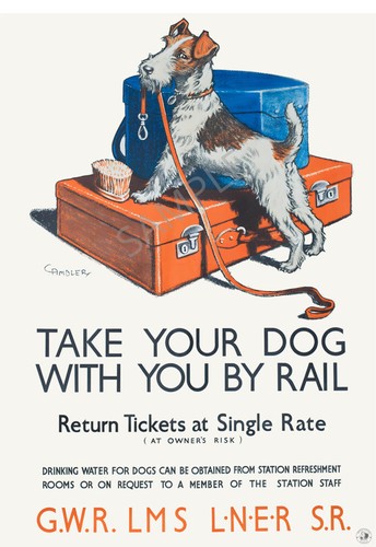 Take your dog rail poster - take,