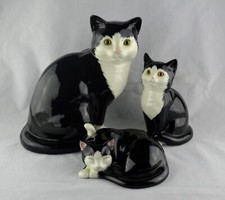 Just Cats & Co Staffordshire