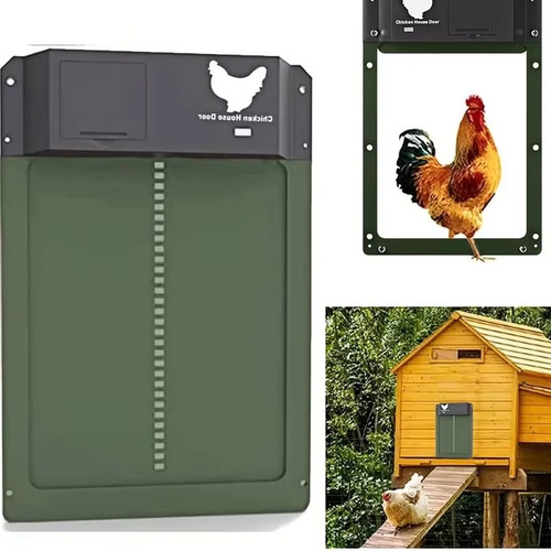 Automatic chicken coop door - chicken,