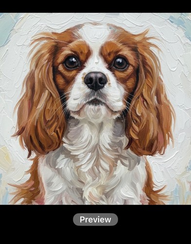 Blenheim cavalier king charles - king,