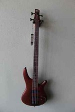 Brand New Ibanez Standard