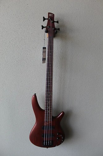 Brand new ibanez - ibanez, standard