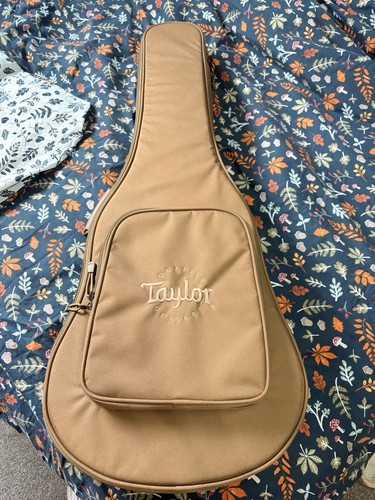 Taylor academy acoustic - 12,
