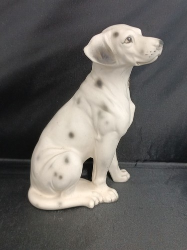 Vintage dalmation dog designed - dalmation,