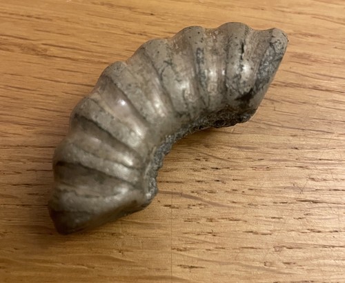 Piece stone ammonite fossil - piece,