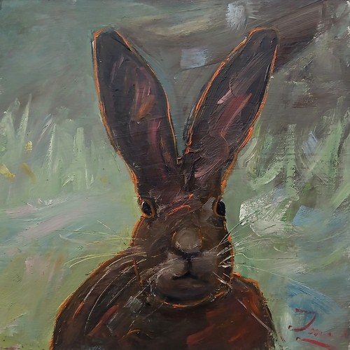 New signed original animal - new,