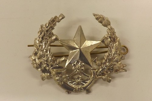 Military badge dead spartan - military,