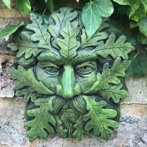 Quercus green man - "quercus",