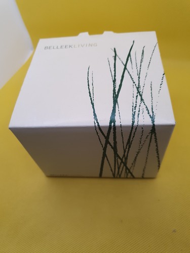 Two bnib belleek living - bnib,