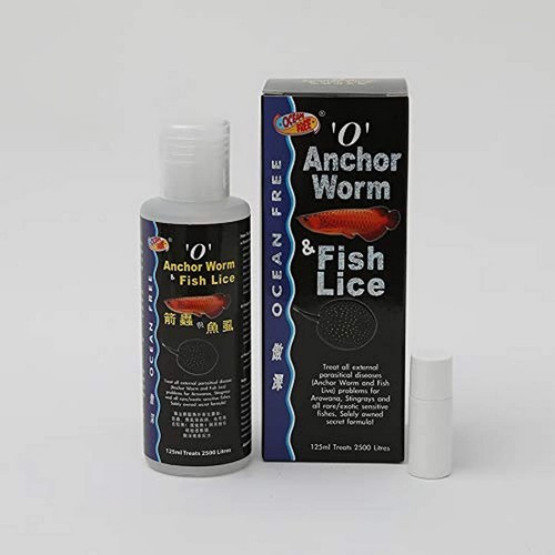 Ocean free anchor worm fish - ocean,