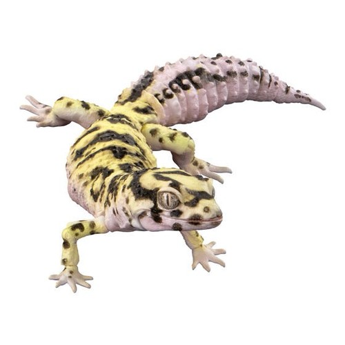 Bandai gashapon leopard - bandai,
