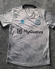 Millwall Silver Away Shirt 24/25 Season Size M New With Tag