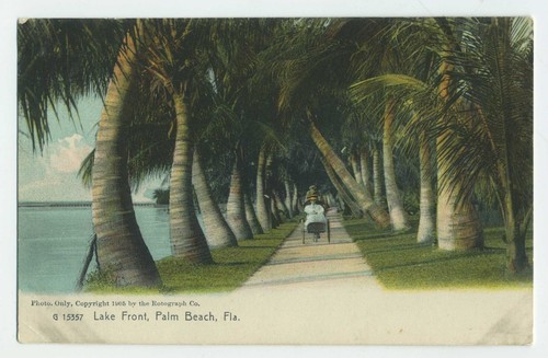 Lake front palm - front,, beach,