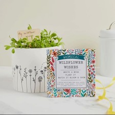Whimsical Wildflower Wishes - Seed Paper Growable Eco Gift