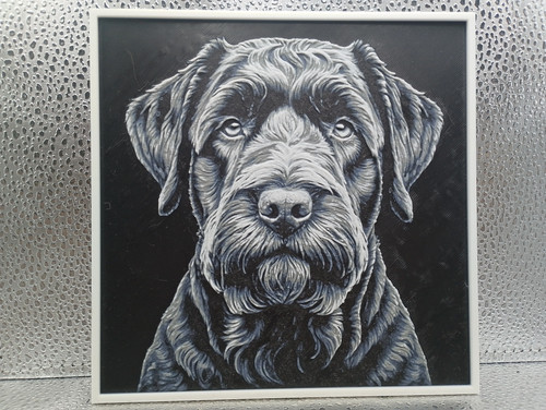Black russian terrier - russian,