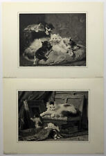 Mother and Kittens set , By Henriette Ronner ( 1821 -1909 )reproduction print