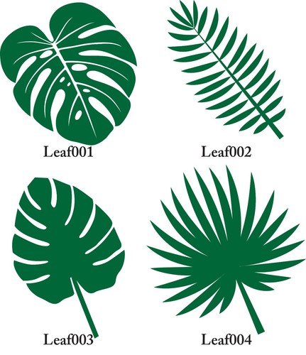 Nature tropical leaf wall - nature,