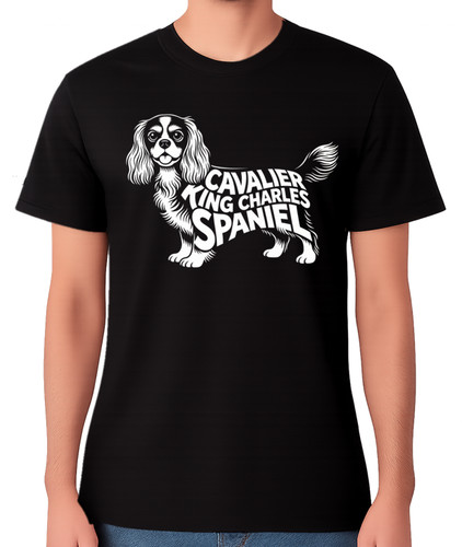 Cavalier king charles - king, spaniel