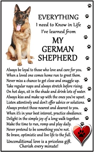 German shepherd dog gift - shepherd,
