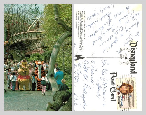 Postcard disneyland - postcard,