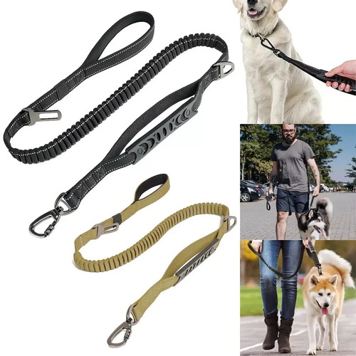 Heavy bungee jumping dog leash