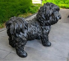 black and silvery shih tzu dog