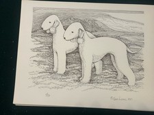 Bedlington terrier print - bedlington,