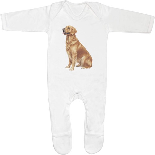 Golden retriever dog - retriever, baby