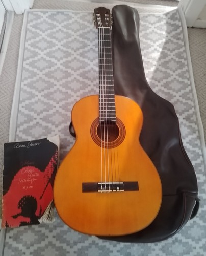 Ibanez vintage acoustic guitar - ibanez,