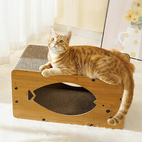 Cat scratching post climbing - cat,