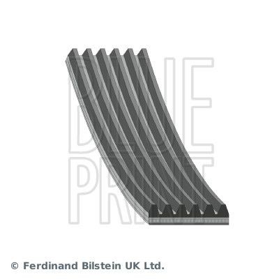 Blueprint ad06r818 ribbed - ad06r818, v-ribbed