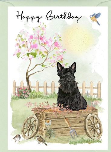 Scottish terrier scottie - scottie, dog