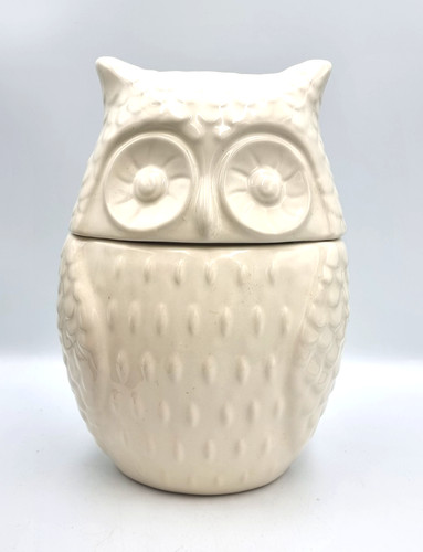 Owl cookie jar biscuit barrel - cookie,