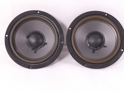 5in 30w sub bass - 30w,