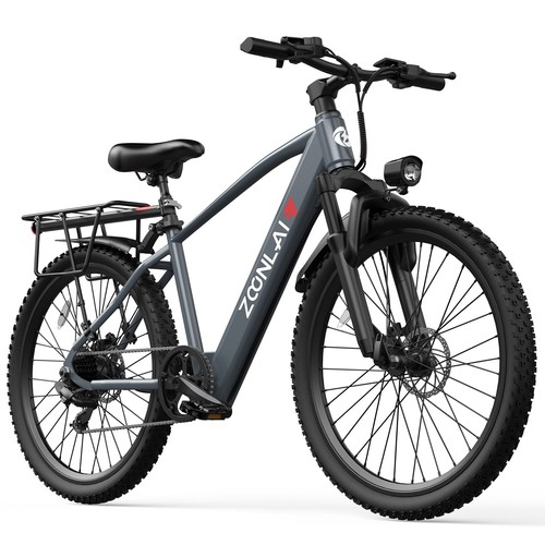 26inch 250w motor electric - 250w,