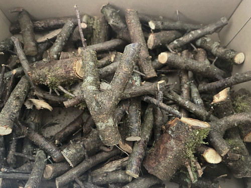 3kg blackthorn hardwood - blackthorn,