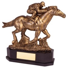 Personalised Aintree
