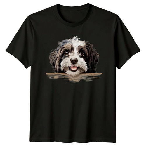Cute shih tzu - shih,