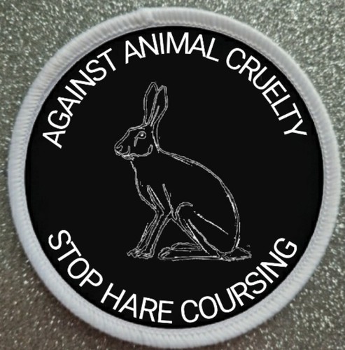Stop hare coursing - hare, animal