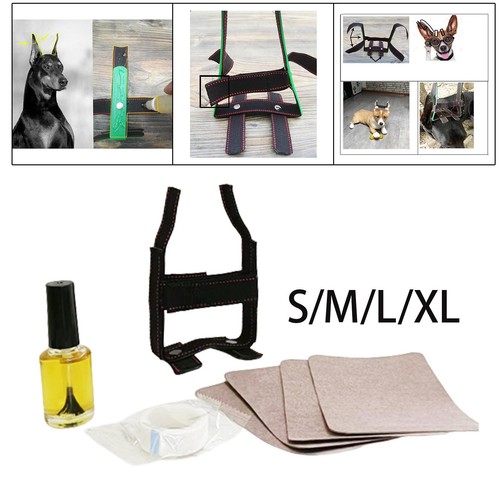 Doberman ear posting kit - ear,