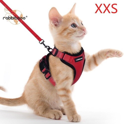 Rabbitgoo cat harness and - harness,