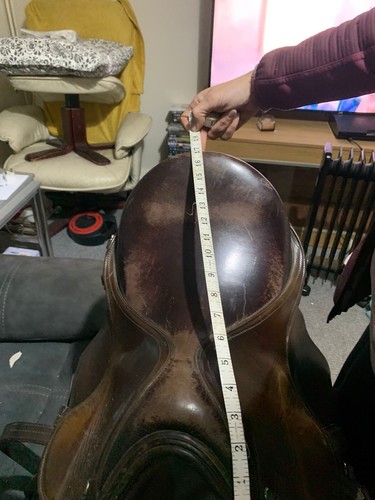 Saddle