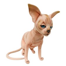 Sitting Sphynx Cat Lovely And