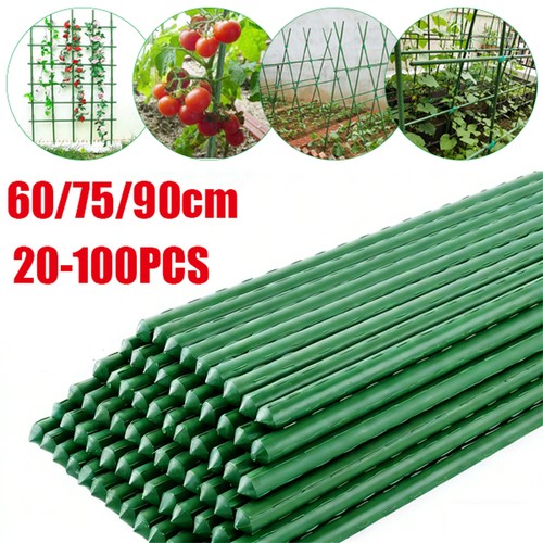 90cm plant stake - plant, garden