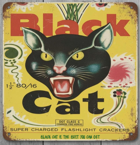 Black cat fire - fire, x