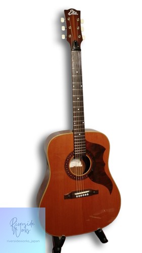 Eko ranger vintage acoustic - ranger, vi