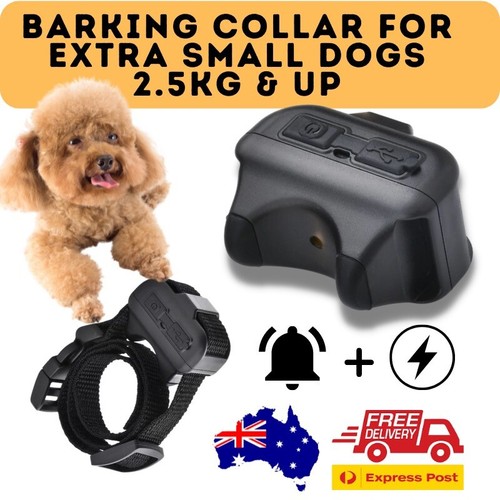 Db60 smallest shock collar - smallest, shock-collar