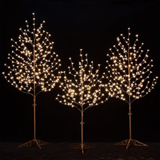 Lighted Cherry Blossom Tree