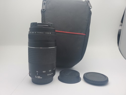 Canon 300mm iii - iii, lens