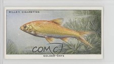 1950 WD & HO Wills Pond